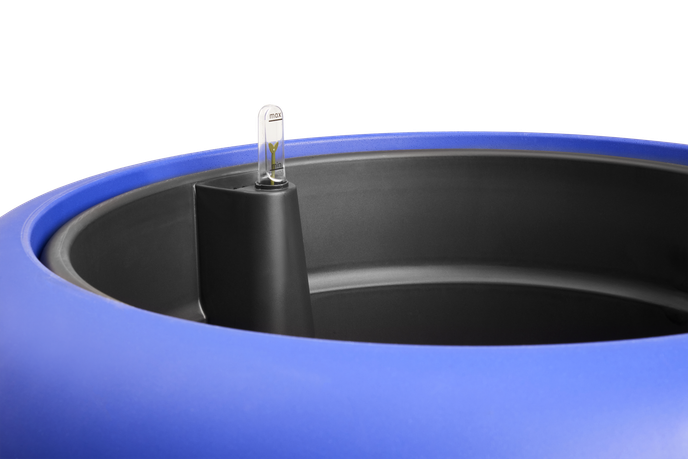 amber roll low 60 bleu royal